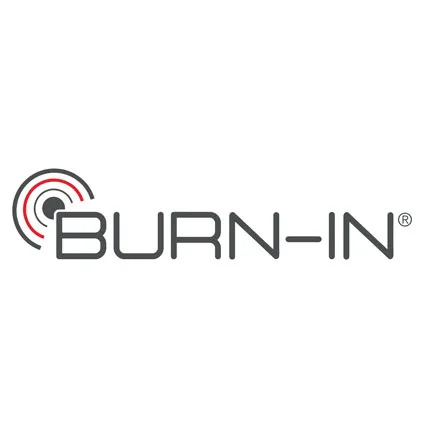BURN-IN