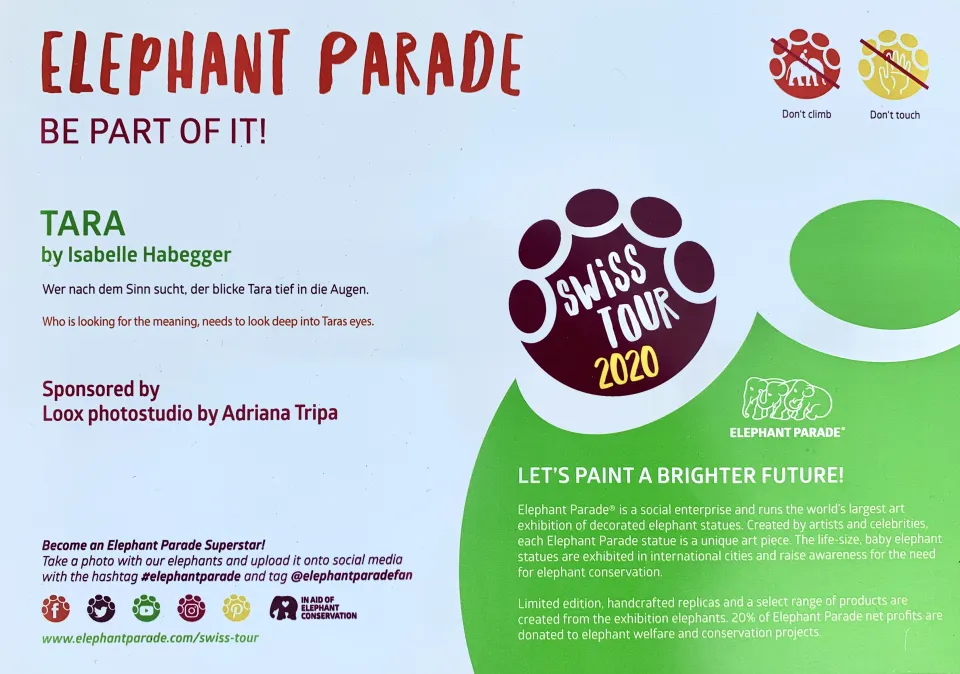 Isabelle Habegger | Elephant Parade