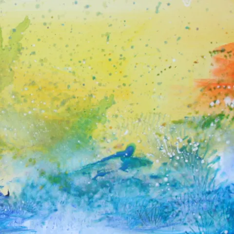 Jeux d'Eau