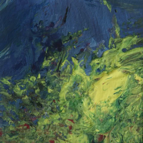 Forêt nocturne