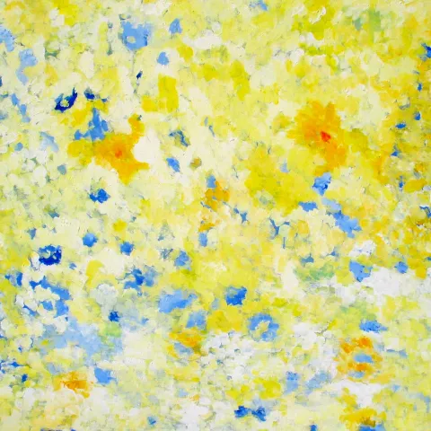 Pétales de  Fleurs jaune